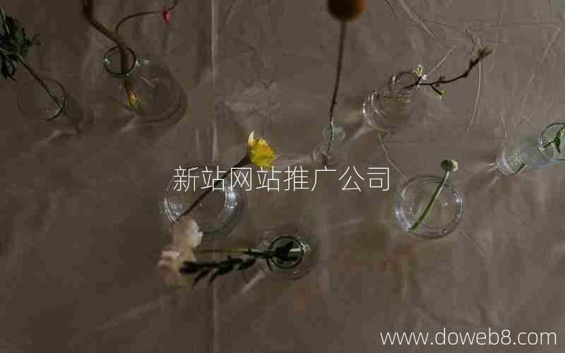新站网站推广公司