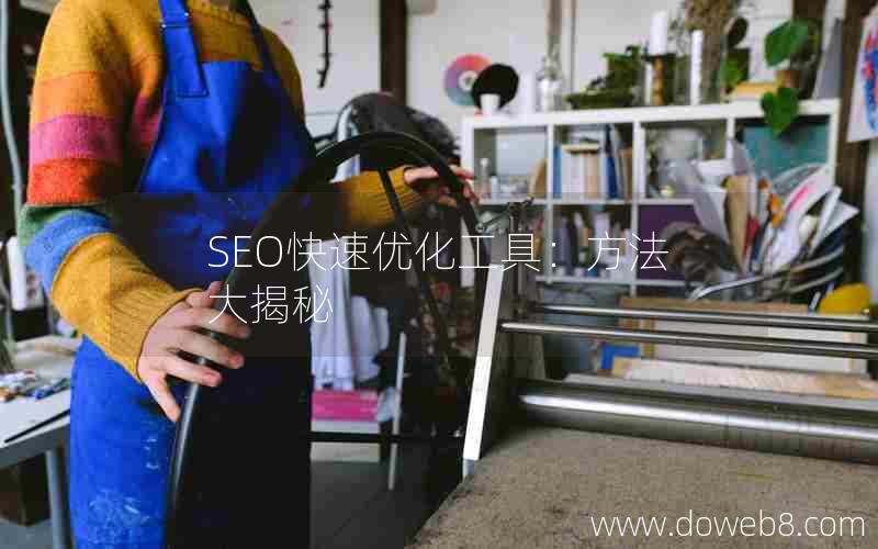 SEO快速优化工具：方法大揭秘