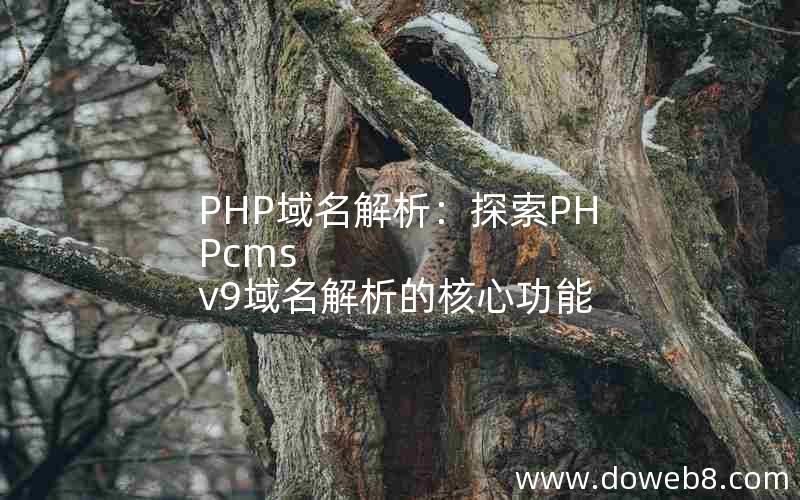 PHP域名解析：探索PHPcms v9域名解析的核心功能